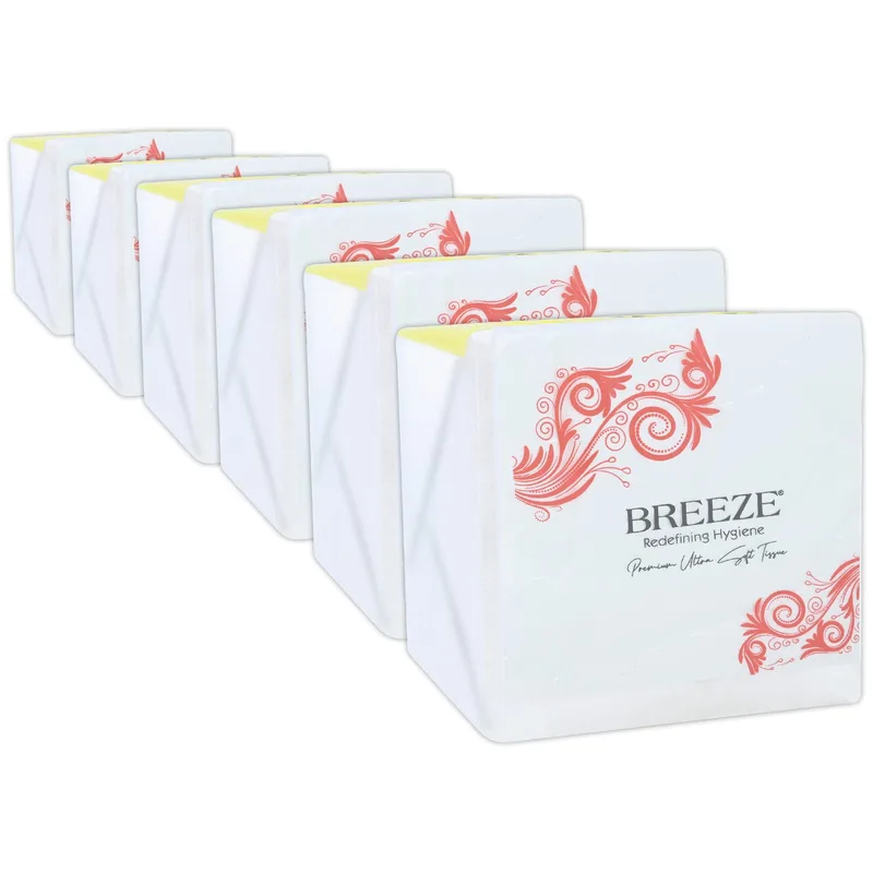 BREEZE BRE004 2 Ply Paper | Tissue with 50 pulls (Pack of 6/300 Tissues) — 63% off on Amazon.in