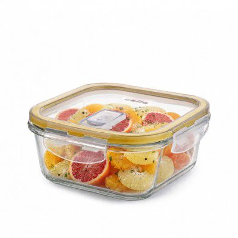 CELLO Fit & Fresh Square Lunch Box Container for Daily Use 1000 ml Clear — 48% off on Amazon.in